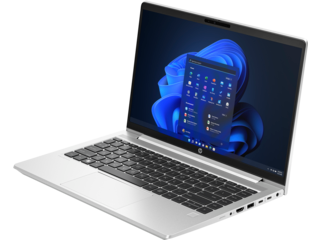 HP ProBook 445 G10 (14 inch)	